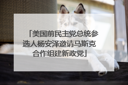 美国前民主党总统参选人杨安泽邀请马斯克合作组建新政党