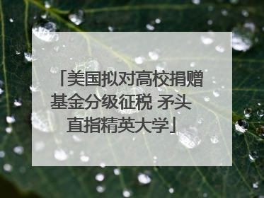 美国拟对高校捐赠基金分级征税 矛头直指精英大学