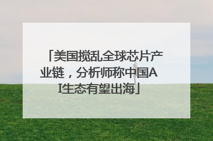 美国搅乱全球芯片产业链，分析师称中国AI生态有望出海