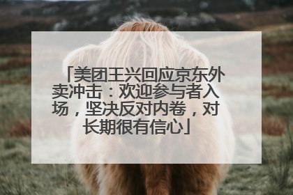 美团王兴回应京东外卖冲击：欢迎参与者入场，坚决反对内卷，对长期很有信心