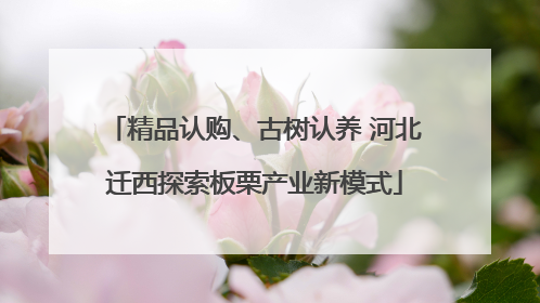 精品认购、古树认养 河北迁西探索板栗产业新模式