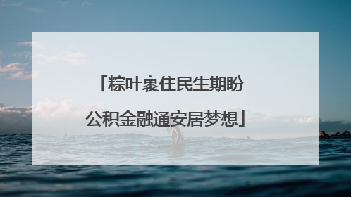 粽叶裹住民生期盼 公积金融通安居梦想
