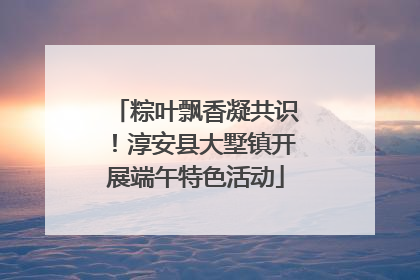 粽叶飘香凝共识！淳安县大墅镇开展端午特色活动