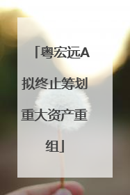 粤宏远A拟终止筹划重大资产重组