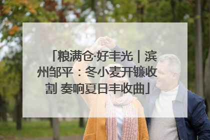 粮满仓·好丰光｜滨州邹平：冬小麦开镰收割 奏响夏日丰收曲