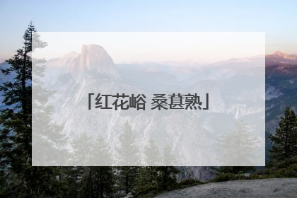 红花峪 桑葚熟