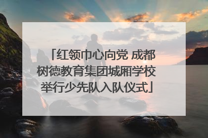 红领巾心向党 成都树德教育集团城厢学校举行少先队入队仪式