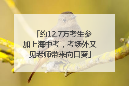 约12.7万考生参加上海中考，考场外又见老师带来向日葵