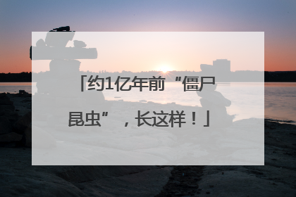 约1亿年前“僵尸昆虫”，长这样！