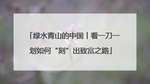 绿水青山的中国丨看一刀一划如何“刻”出致富之路