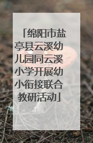 绵阳市盐亭县云溪幼儿园同云溪小学开展幼小衔接联合教研活动