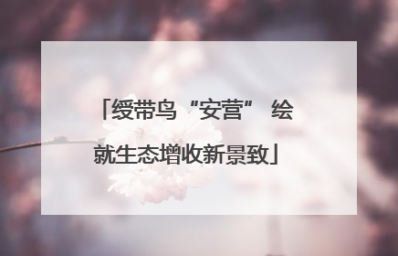 绶带鸟“安营” 绘就生态增收新景致