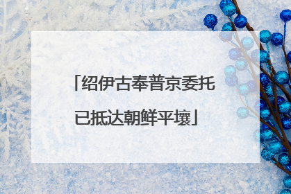 绍伊古奉普京委托已抵达朝鲜平壤