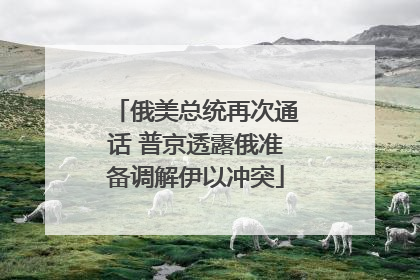 俄美总统再次通话 普京透露俄准备调解伊以冲突