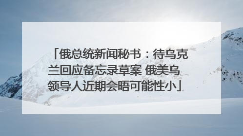 俄总统新闻秘书：待乌克兰回应备忘录草案 俄美乌领导人近期会晤可能性小