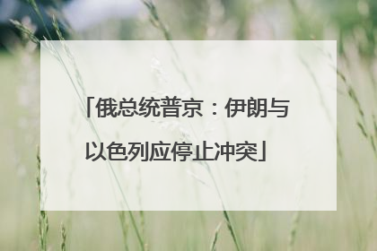 俄总统普京：伊朗与以色列应停止冲突