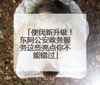 便民新升级！东阿公安政务服务这些亮点你不能错过