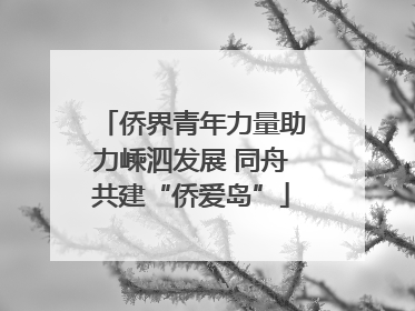 侨界青年力量助力嵊泗发展 同舟共建“侨爱岛”