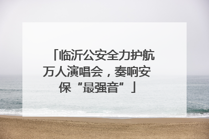 临沂公安全力护航万人演唱会，奏响安保“最强音”