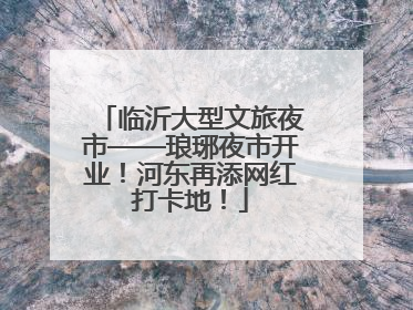 临沂大型文旅夜市——琅琊夜市开业！河东再添网红打卡地！