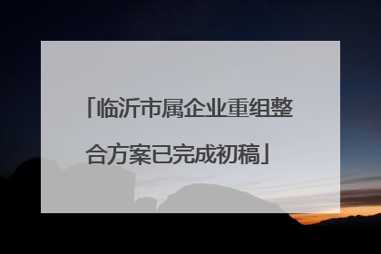临沂市属企业重组整合方案已完成初稿