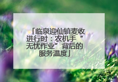 临泉迎仙镇麦收进行时：农机手“无忧作业”背后的服务温度
