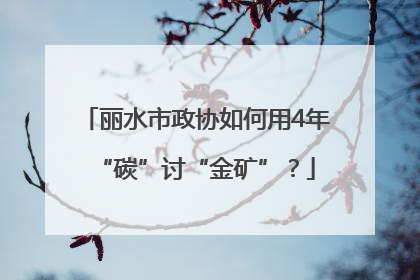 丽水市政协如何用4年“碳”讨“金矿”？