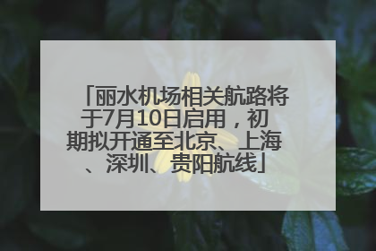 丽水机场相关航路将于7月10日启用，初期拟开通至北京、上海、深圳、贵阳航线