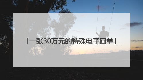 一张30万元的特殊电子回单