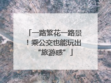 一路繁花一路景！乘公交也能玩出“旅游感”