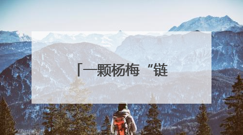 一颗杨梅“链”动乡村“产业共生圈”