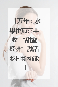 万年：水果番茄喜丰收 “甜蜜经济”激活乡村新动能