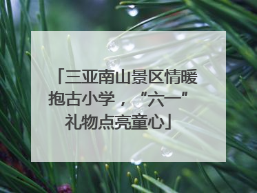 三亚南山景区情暖抱古小学，“六一”礼物点亮童心