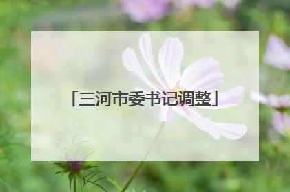三河市委书记调整
