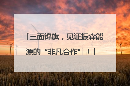 三面锦旗，见证振森能源的“非凡合作”！
