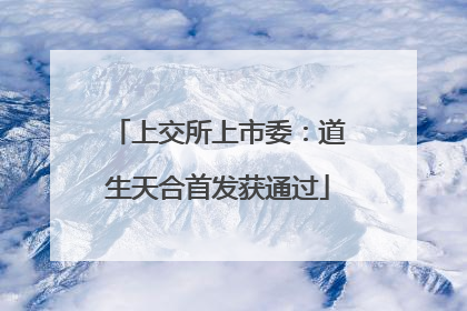 上交所上市委：道生天合首发获通过