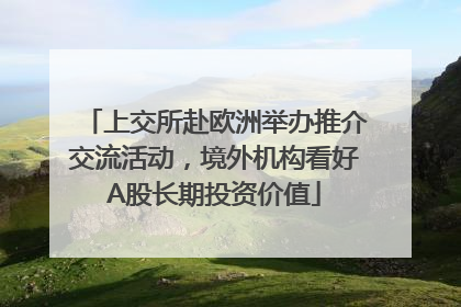 上交所赴欧洲举办推介交流活动，境外机构看好A股长期投资价值