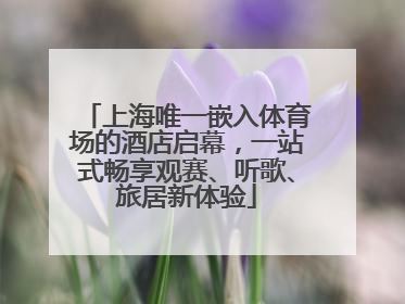 上海唯一嵌入体育场的酒店启幕，一站式畅享观赛、听歌、旅居新体验
