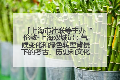 上海市社联等主办“伦敦-上海双城记：气候变化和绿色转型背景下的考古、历史和文化遗产”学术对话