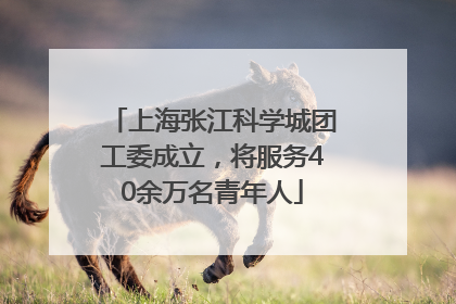 上海张江科学城团工委成立，将服务40余万名青年人