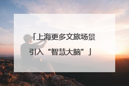 上海更多文旅场景引入“智慧大脑”
