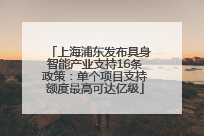 上海浦东发布具身智能产业支持16条政策：单个项目支持额度最高可达亿级