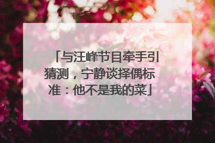 与汪峰节目牵手引猜测，宁静谈择偶标准：他不是我的菜
