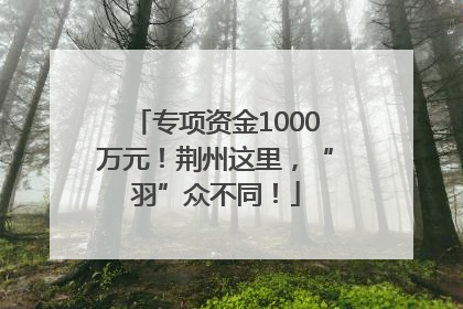 专项资金1000万元！荆州这里，“羽”众不同！