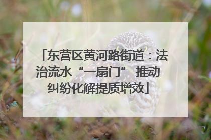 东营区黄河路街道：法治流水“一扇门” 推动纠纷化解提质增效