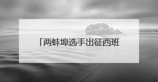 两蚌埠选手出征西班牙桌式足球世界杯