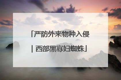 严防外来物种入侵｜西部黑寡妇蜘蛛