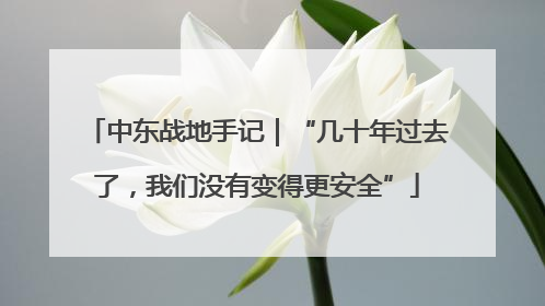 中东战地手记｜“几十年过去了，我们没有变得更安全”