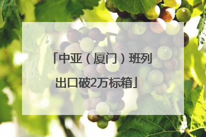 中亚（厦门）班列出口破2万标箱