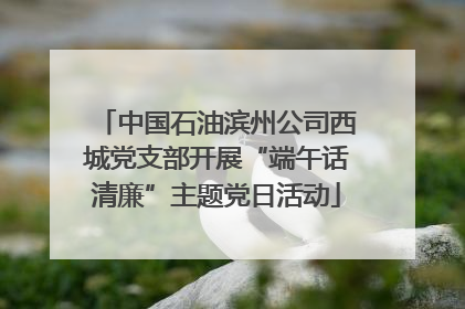 中国石油滨州公司西城党支部开展“端午话清廉”主题党日活动